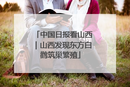 中国日报看山西｜山西发现东方白鹳筑巢繁殖