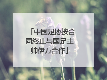 中国足协按合同终止与国足主帅伊万合作