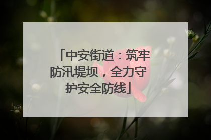 中安街道：筑牢防汛堤坝，全力守护安全防线