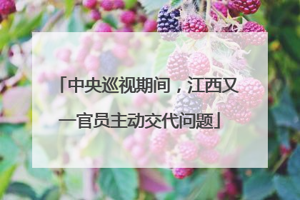 中央巡视期间，江西又一官员主动交代问题