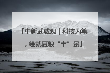 中新武威观｜科技为笔，绘就夏粮“丰”景