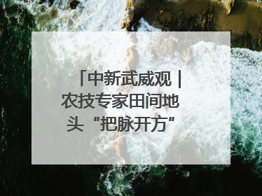 中新武威观｜农技专家田间地头“把脉开方”送“及时雨”