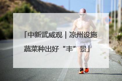 中新武威观｜凉州设施蔬菜种出好“丰”景