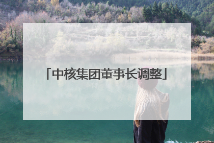 中核集团董事长调整