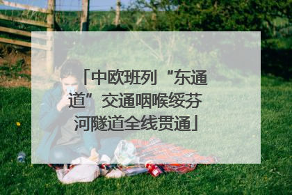 中欧班列“东通道”交通咽喉绥芬河隧道全线贯通