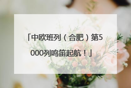 中欧班列（合肥）第5000列鸣笛起航！