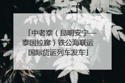 中老泰（昆明安宁—泰国拉廊）铁公海联运国际货运列车发车