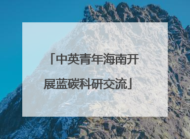 中英青年海南开展蓝碳科研交流