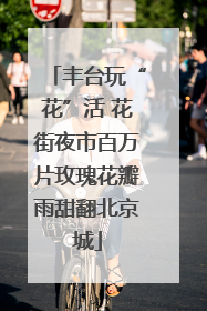 丰台玩“花”活 花街夜市百万片玫瑰花瓣雨甜翻北京城