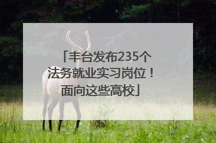 丰台发布235个法务就业实习岗位！面向这些高校