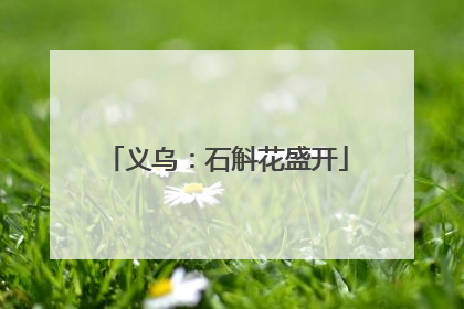 义乌：石斛花盛开