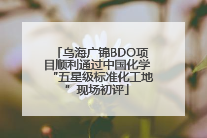 乌海广锦BDO项目顺利通过中国化学“五星级标准化工地”现场初评