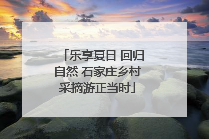 乐享夏日 回归自然 石家庄乡村采摘游正当时
