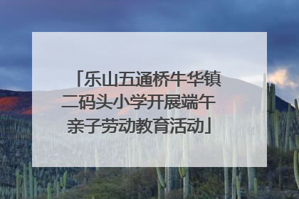 乐山五通桥牛华镇二码头小学开展端午亲子劳动教育活动