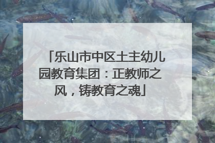 乐山市中区土主幼儿园教育集团：正教师之风，铸教育之魂