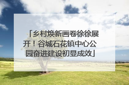 乡村焕新画卷徐徐展开！谷城石花镇中心公园奋进建设初显成效