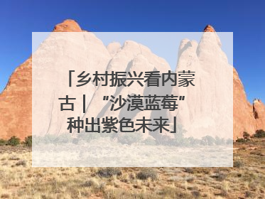 乡村振兴看内蒙古｜“沙漠蓝莓”种出紫色未来