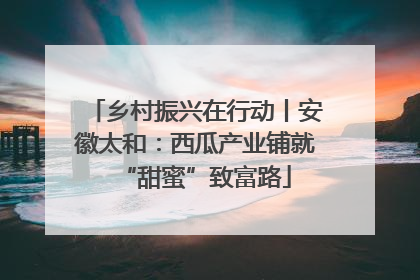 乡村振兴在行动丨安徽太和：西瓜产业铺就“甜蜜”致富路