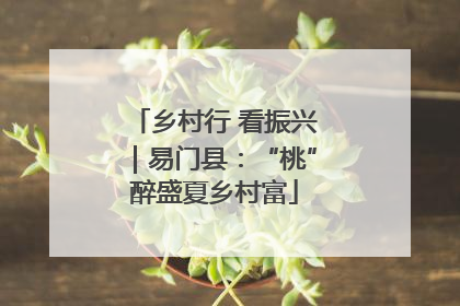 乡村行 看振兴｜易门县：“桃”醉盛夏乡村富