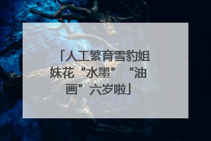 人工繁育雪豹姐妹花“水墨”“油画”六岁啦