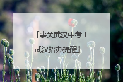 事关武汉中考！武汉招办提醒