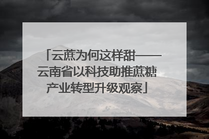云蔗为何这样甜——云南省以科技助推蔗糖产业转型升级观察