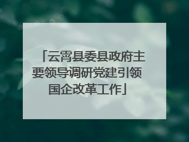 云霄县委县政府主要领导调研党建引领国企改革工作