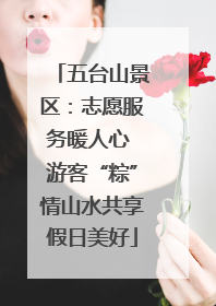 五台山景区：志愿服务暖人心 游客“粽”情山水共享假日美好