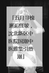 五月寻槐邂逅怪坡，沈北新区中医院国潮中医雅集引热潮