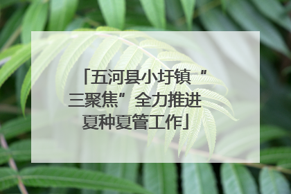 五河县小圩镇“三聚焦”全力推进夏种夏管工作