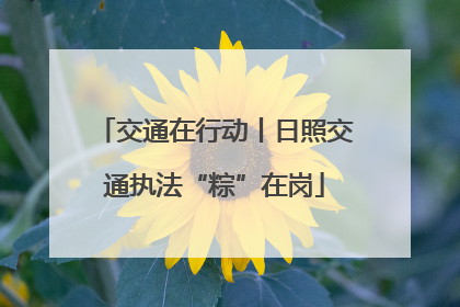 交通在行动丨日照交通执法“粽”在岗
