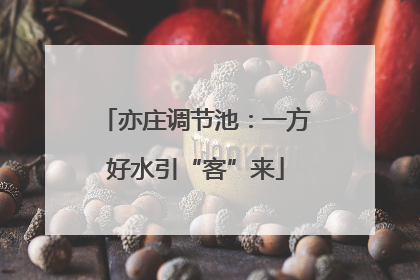亦庄调节池：一方好水引“客”来