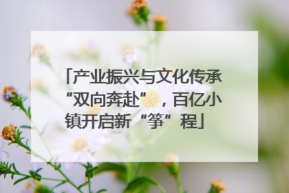 产业振兴与文化传承“双向奔赴”，百亿小镇开启新“筝”程