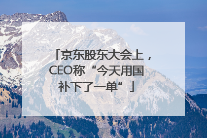 京东股东大会上，CEO称“今天用国补下了一单”