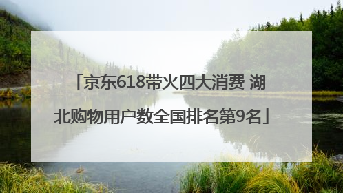京东618带火四大消费 湖北购物用户数全国排名第9名