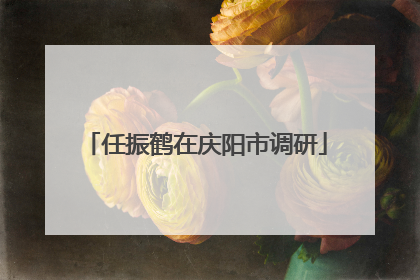 任振鹤在庆阳市调研