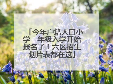 今年户籍人口小学一年级入学开始报名了！六区招生划片表都在这