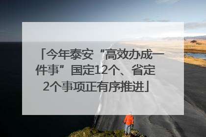 今年泰安“高效办成一件事”国定12个、省定2个事项正有序推进