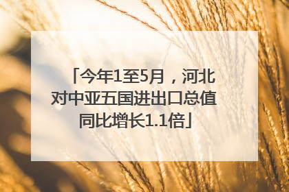 今年1至5月，河北对中亚五国进出口总值同比增长1.1倍