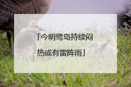 今明鹭岛持续闷热或有雷阵雨