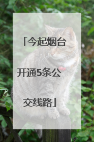 今起烟台开通5条公交线路