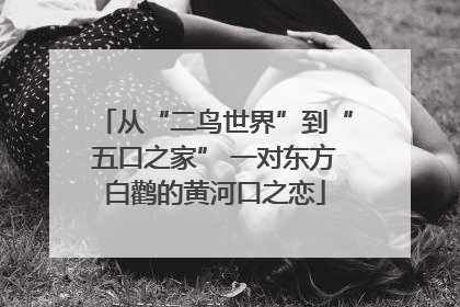 从“二鸟世界”到“五口之家” 一对东方白鹳的黄河口之恋