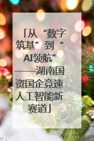 从“数字筑基”到“AI领航”——湖南国资国企竞速人工智能新赛道