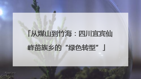 从煤山到竹海：四川宜宾仙峰苗族乡的“绿色转型”