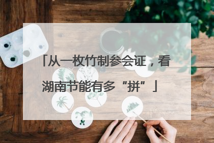从一枚竹制参会证，看湖南节能有多“拼”