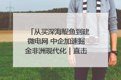 从买深海鳀鱼到建微电网 中企加速掘金非洲现代化｜直击中非经贸博览会