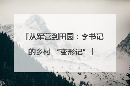 从军营到田园：李书记的乡村 “变形记”