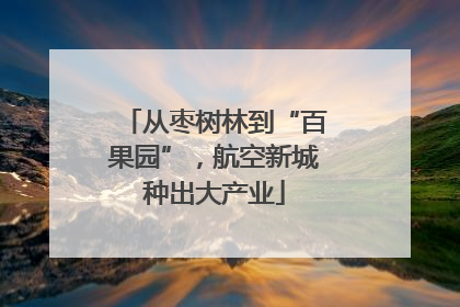 从枣树林到“百果园”，航空新城种出大产业