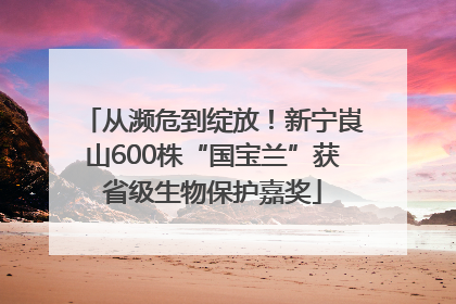 从濒危到绽放！新宁崀山600株“国宝兰”获省级生物保护嘉奖