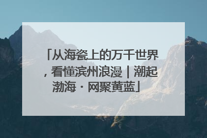 从海瓷上的万千世界，看懂滨州浪漫｜潮起渤海・网聚黄蓝